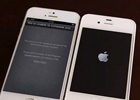 iphone5b